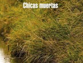 Chicas muertas di Selva Almada | Recensione