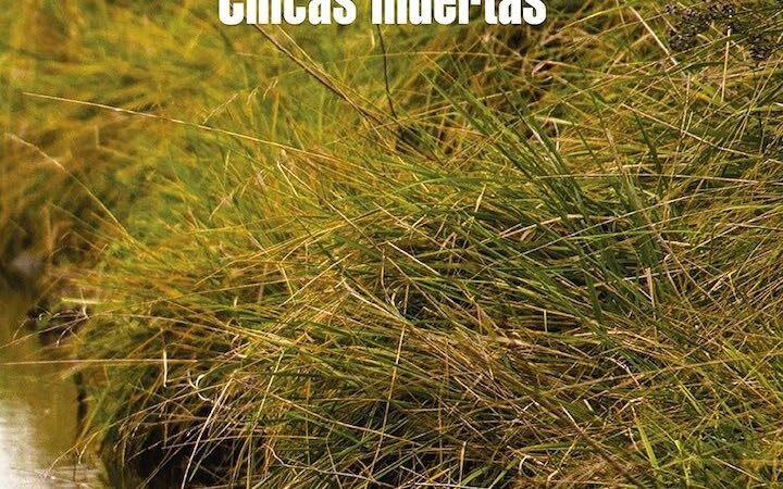 Chicas muertas di Selva Almada | Recensione