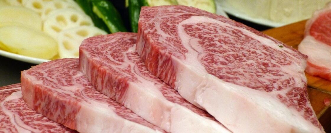 carne sintetica, il futuro dell'alimentazione