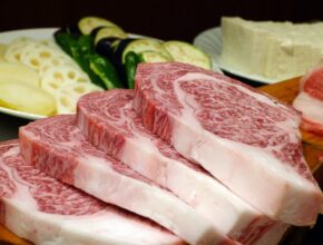 carne sintetica, il futuro dell'alimentazione