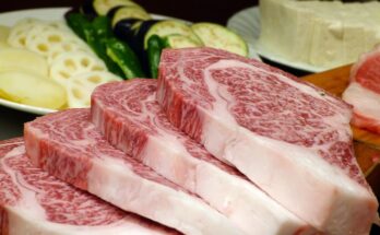 carne sintetica, il futuro dell'alimentazione