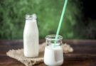 Kefir