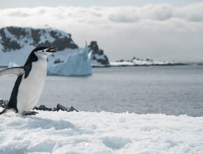 Antartide: meta alternativa posta all’estremità del mondo