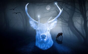 Patronus: cos'è e come evocarlo