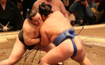 L'antica arte del sumo: cos'è e come funziona