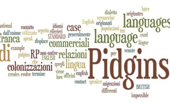 Pidgins cosa sono?