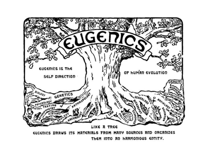 eugenetica