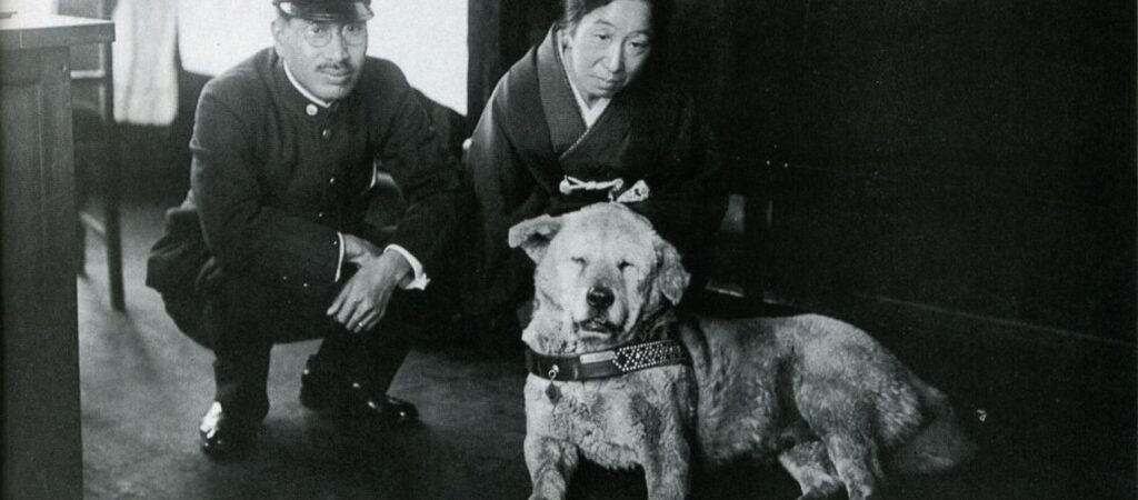 La storia di Hachikō, il cane che ha commosso il mondo