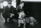La storia di Hachikō, il cane che ha commosso il mondo
