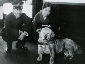 La storia di Hachikō, il cane che ha commosso il mondo