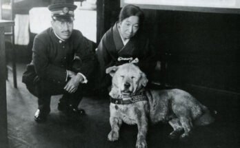 La storia di Hachikō, il cane che ha commosso il mondo