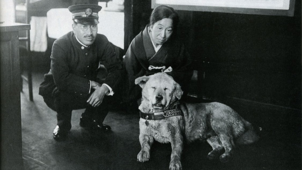 La storia di Hachikō, il cane che ha commosso il mondo