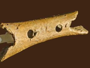 Dov'è nata la musica? Scopriamo le sue origini