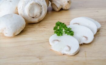 Ricette con i funghi champignon: eccone tre per gustarseli!