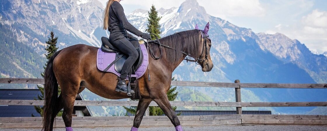 Animali nello sport: sicurezza e divertimento
