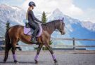 Animali nello sport: sicurezza e divertimento