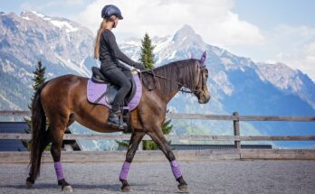 Animali nello sport: sicurezza e divertimento