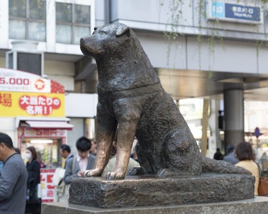 La storia di Hachikō, il cane che ha commosso il mondo