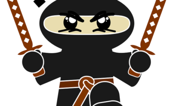 Chi erano i ninja