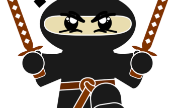 Chi erano i ninja