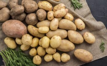 Ricette con patate: 5 da scoprire