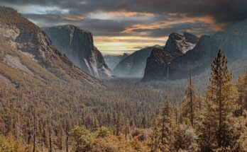 I 10 luoghi più silenziosi al mondo della Terra: oasi di quiete