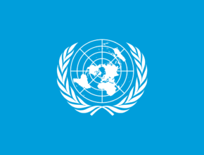 Organizzazione delle Nazioni Unite: qual è il suo ruolo?