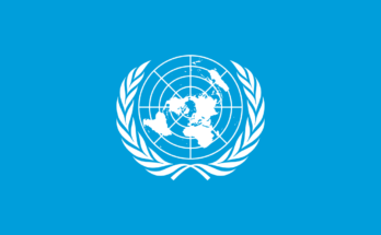 Organizzazione delle Nazioni Unite: qual è il suo ruolo?