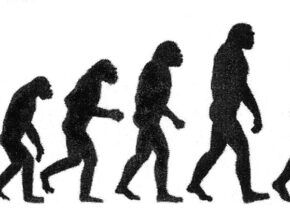 Evoluzionismo nel Medioevo: si fermò davvero?