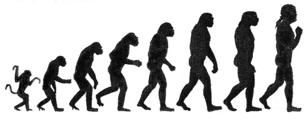 Evoluzionismo nel Medioevo: si fermò davvero?