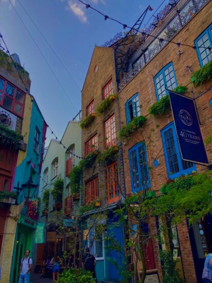 neal's yard