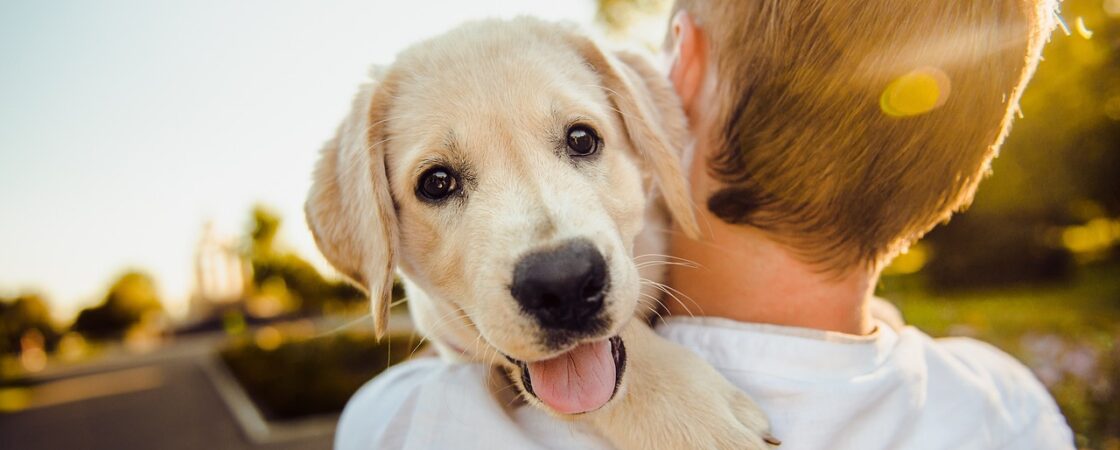 L'amicizia tra uomo e cane: dal Neolitico ai giorni nostri