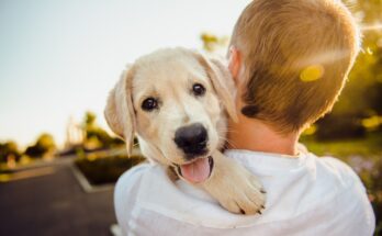 L'amicizia tra uomo e cane: dal Neolitico ai giorni nostri