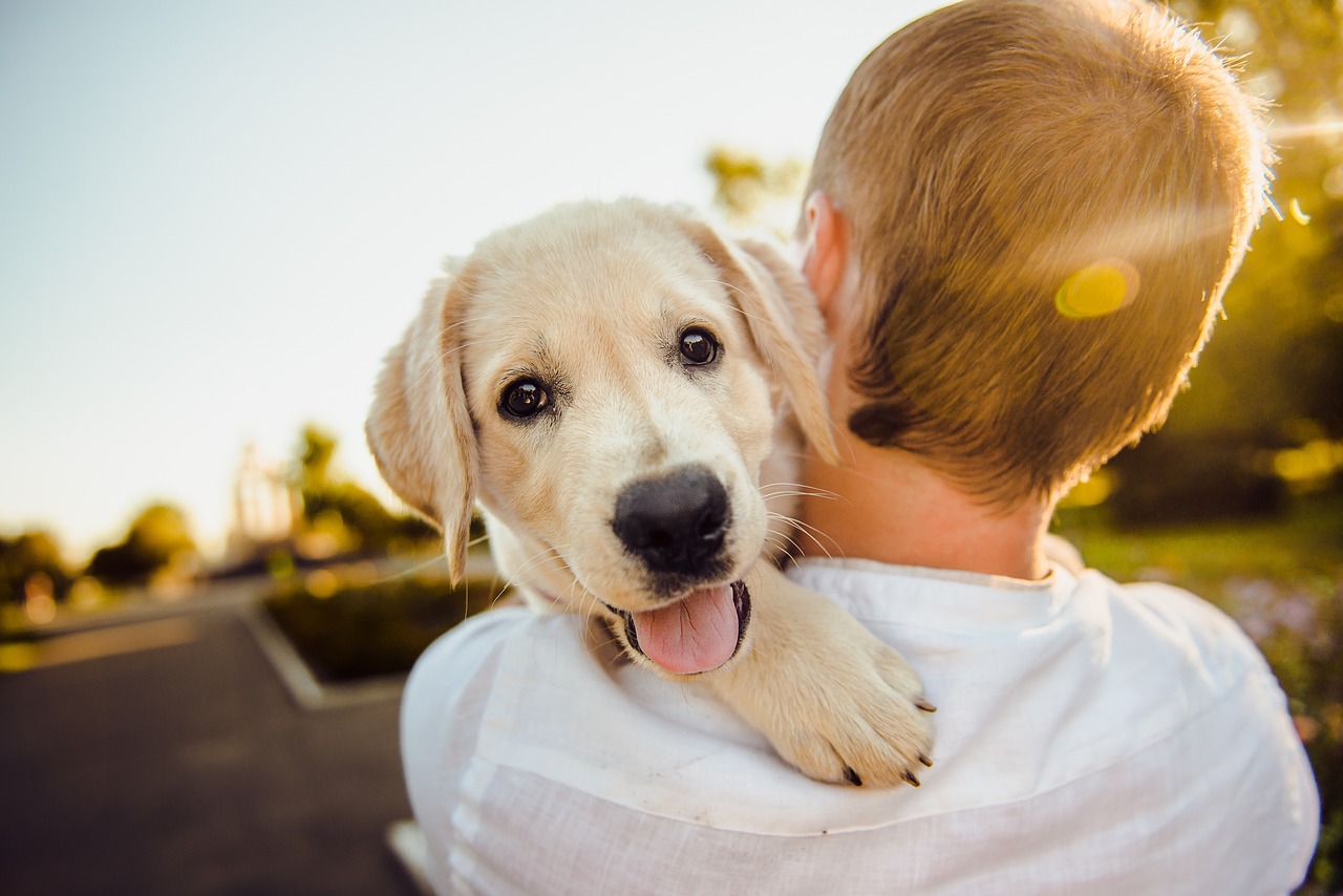 L'amicizia tra uomo e cane: dal Neolitico ai giorni nostri