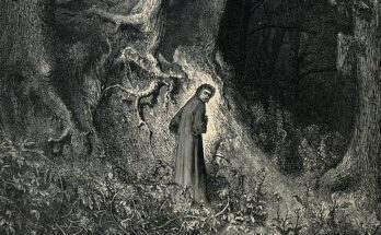 selva oscura nella divina commedia: spiegazione