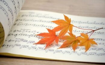 Canzoni sull’autunno: le 4 da aggiungere alla tua playlist