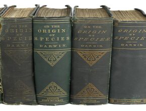 24 novembre 1859: Charles Darwin pubblica l'origine della specie