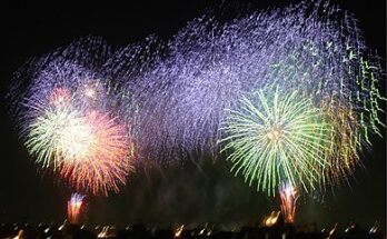 Capodanno 2024, le 4 idee migliori