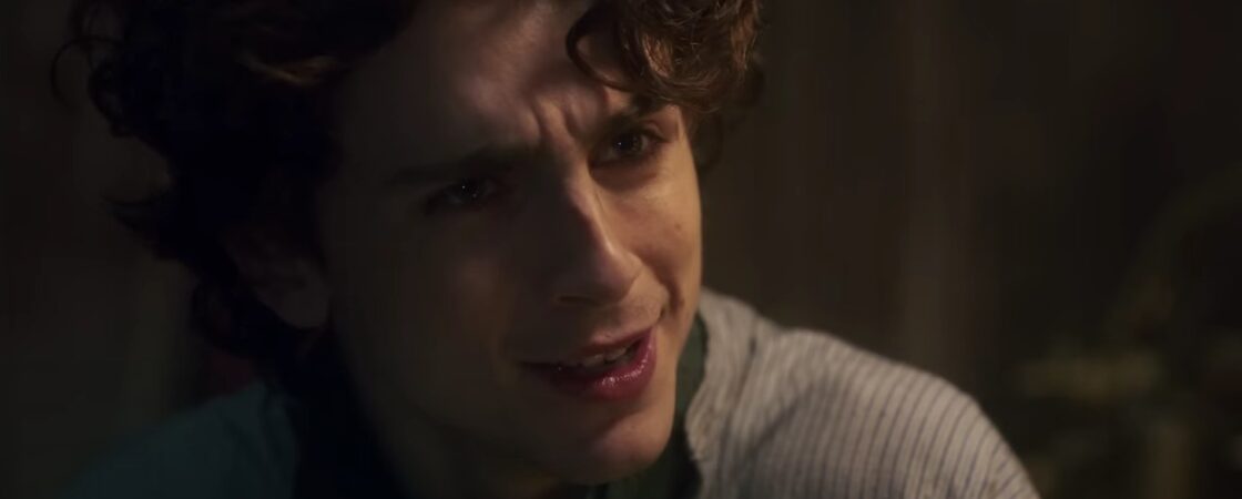 Timothée Chalamet: la giovane promessa di Hollywood