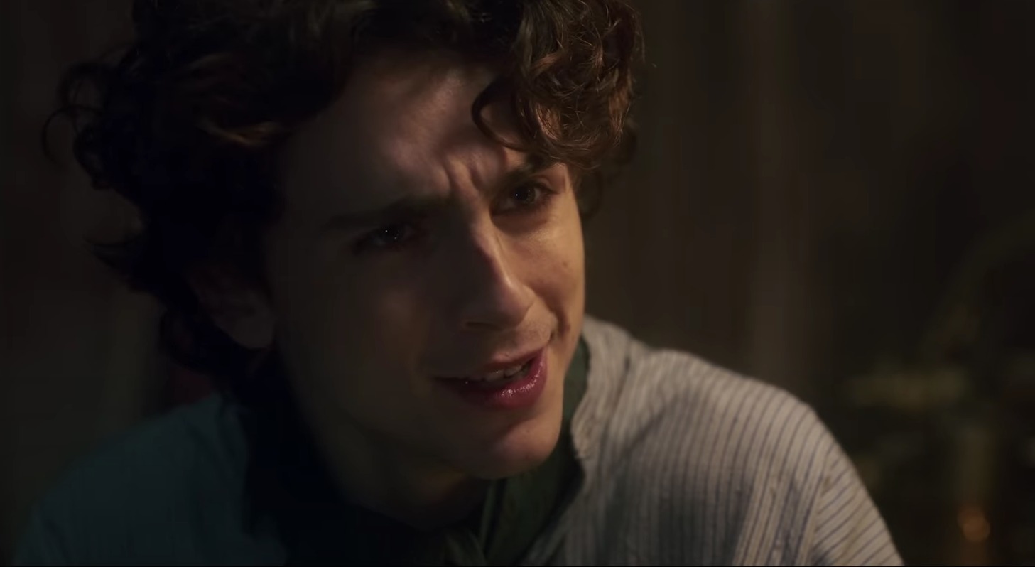 Timothée Chalamet: la giovane promessa di Hollywood