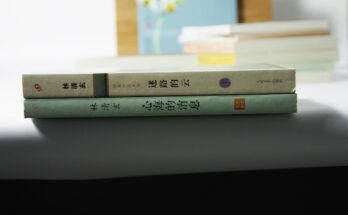 Letteratura cinese contemporanea: 3 libri da leggere