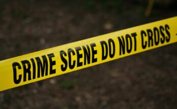 Perchè il true crime affascina così tanta gente?