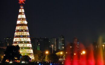 Alberi di Natale fai-da-te: 5 idee originali