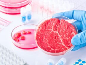 Carne coltivata: cos'è e quali sono i vantaggi e i limiti