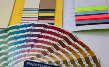storia del Pantone: i 5 colori degli anni passati