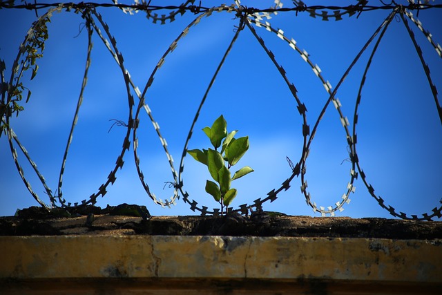 Carcere di Halden: Com'è e come funziona