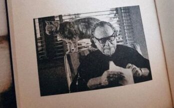 Racconti di Charles Bukowski: i 5 più belli