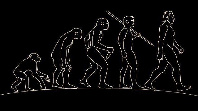 Cos’è l’antropologia? Nascita e sviluppo della scienza dell’uomo
