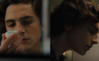 Film di Timothée Chalamet: i tre da vedere assolutamente