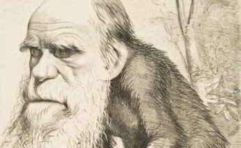 Ciao Darwin di Paolo Bonolis e la teoria evoluzionistica